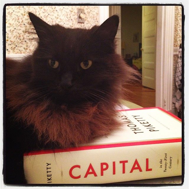 Catipal
