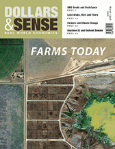 Issue 317 cover