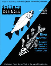 Issue 229 cover